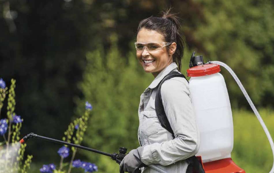 Vorschau SOLO Katalog